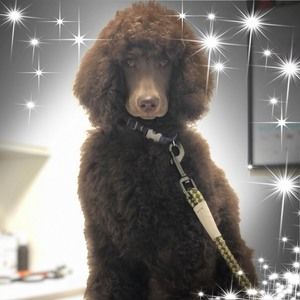 Meet your Posher, Patricia